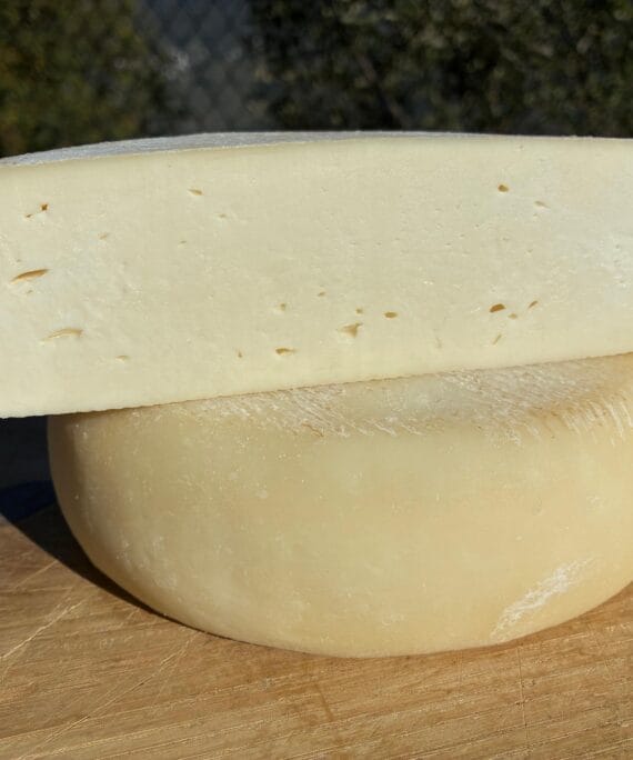 FORMAGGIO - SCIMUDIN DI CAPRA BIO STAGIONATURA BREVE oltre 15 gg - PRODOTTO A LATTE CRUDO
