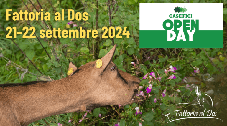 Open Day dei Caseifici Agricoli alla Fattoria Al Dos di Castello Dell'Acqua in Valtellina.