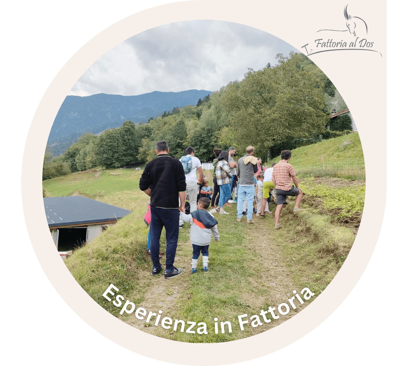 Esperienza Trascorri Mezza Giornata in Fattoria **