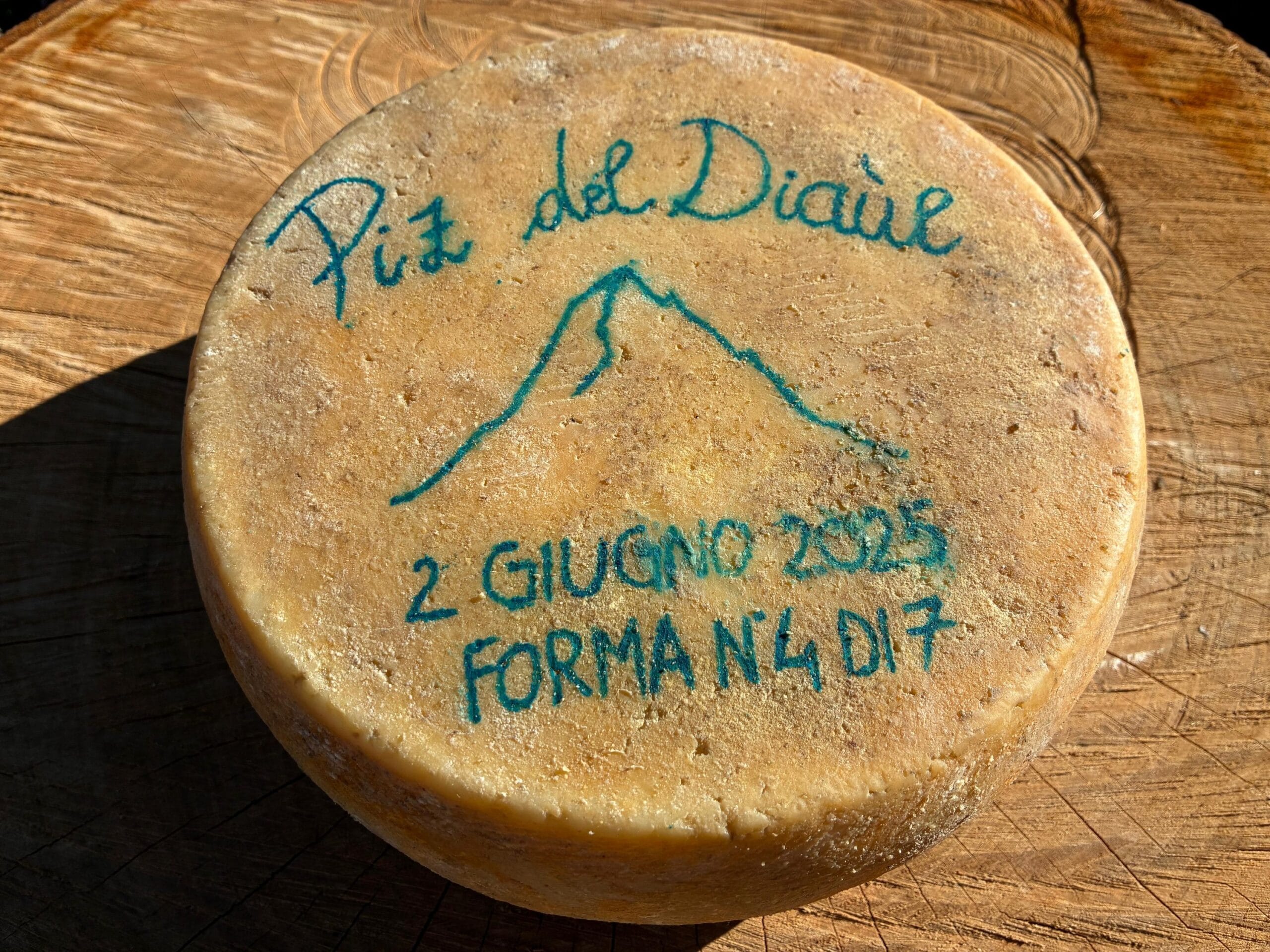 PIZ DEL DIAUL RISERVA - Forma intera - Lotto giugno 2025