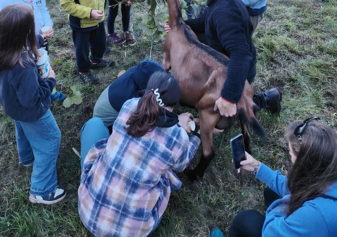 Esperienza Diventa Fattore per un Giorno in Valtellina** - immagine 3
