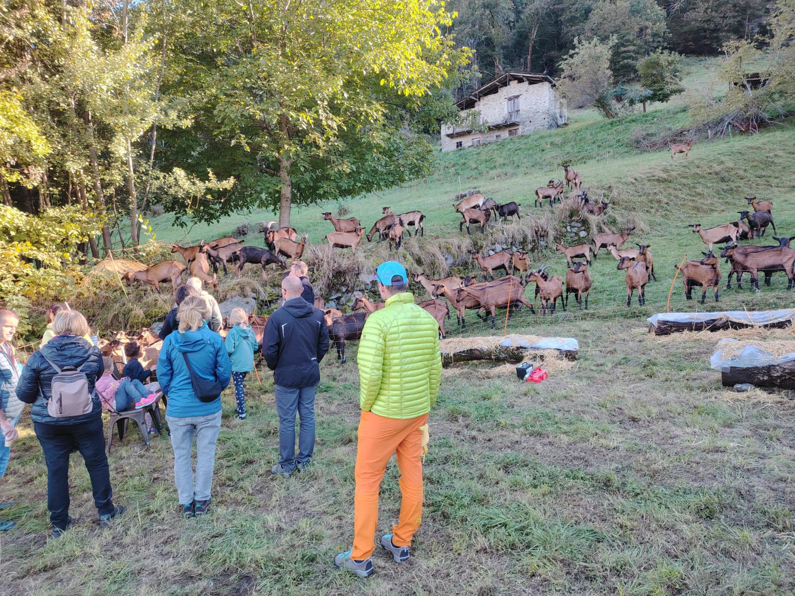 Esperienza Vivi Due Giorni in Fattoria in Valtellina** - immagine 6
